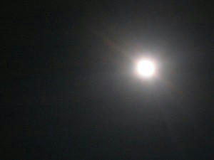 IMG_6077.jpg