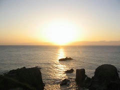 IMG_6254.jpg