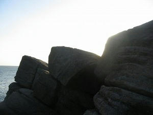 IMG_6245.jpg