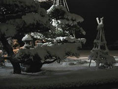 IMG_6681.jpg