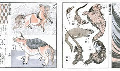 animal.jpg