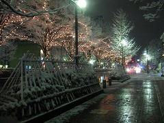 IMG_7049.jpg