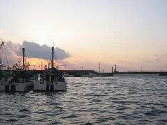 IMG_7316.jpg