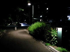 20080608.jpg