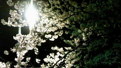 20110410.jpg