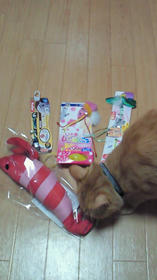 090706-1.jpg