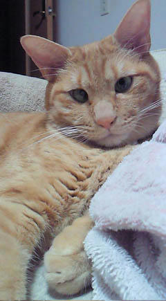 090907-1.jpg