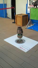 090920-2.jpg
