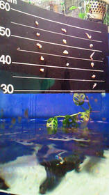 091025-06.jpg
