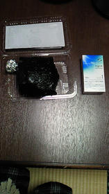 NEC_0742.jpg