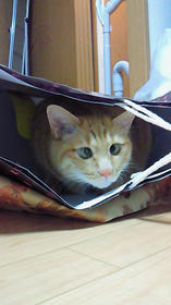 200912150001000.jpg