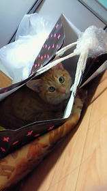 200912150005000.jpg
