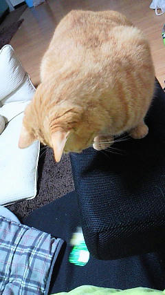 100309-03.jpg