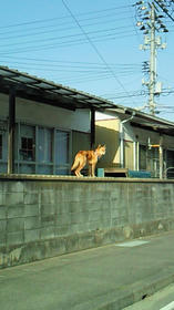 100407-12.jpg