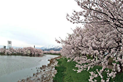 100418-01.jpg