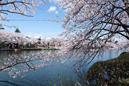 100418-03.jpg