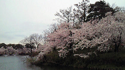 100418-07.jpg