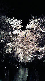 100418-10.jpg