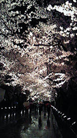 100418-11.jpg