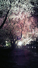 100418-12.jpg