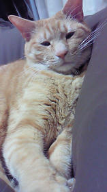 100508-01.jpg