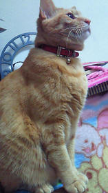 100508-03.jpg