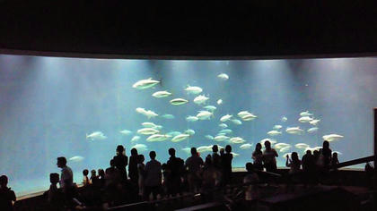 100929-02.jpg