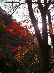111108-04.jpg