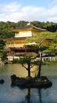 DSC02086.JPG