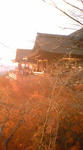 DSC02094.JPG