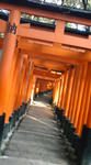 DSC02098.JPG