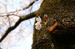 PICT0091.jpg