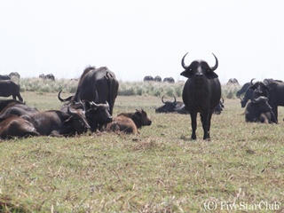 botswana0289_R.jpg