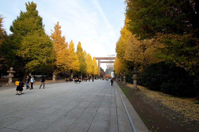 2009_11_27b.jpg