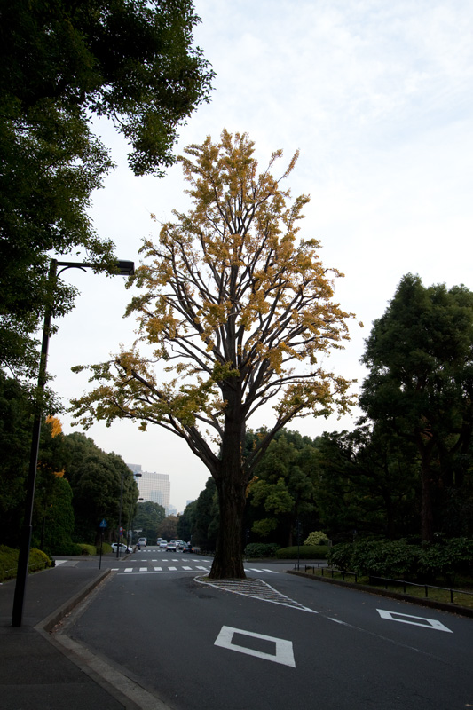 2009_11_27d.jpg