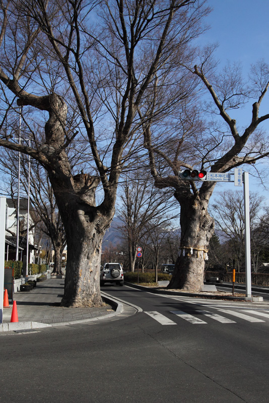 松本神社