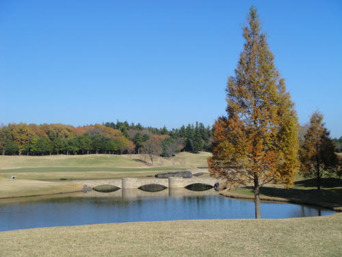 DSC00898.JPG