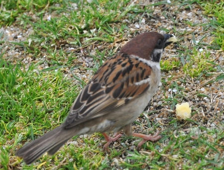 DSC_1330.JPG