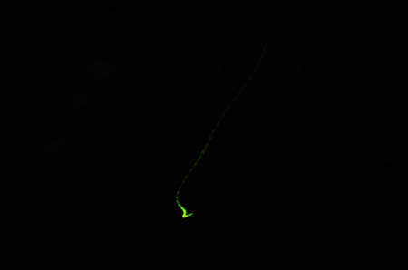 DSC_1677.JPG