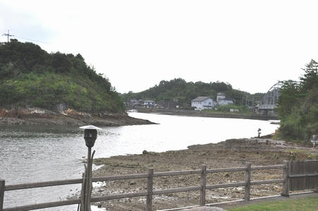 DSC_0470.JPG