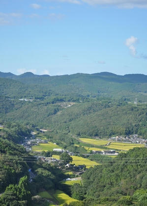 DSC_1078.JPG