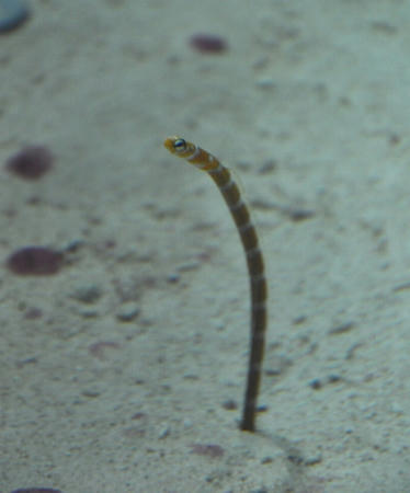 DSC_1554.JPG