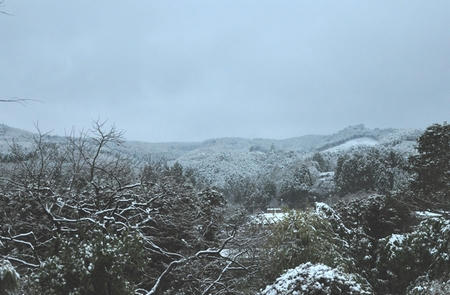 DSC_1644.JPG