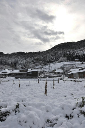 DSC_1652.JPG