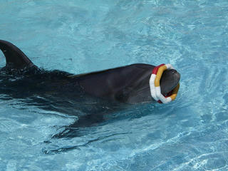 目、こわくないですかー？