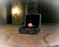 mabinogi_2008_05_05_019.jpg