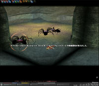 mabinogi_2008_07_01_014.jpg