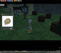 mabinogi_2009_07_04_005.jpg