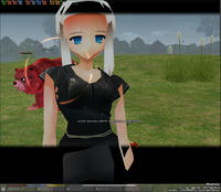 mabinogi_2009_07_11_013.jpg