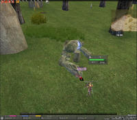 mabinogi_2009_08_17_002.jpg